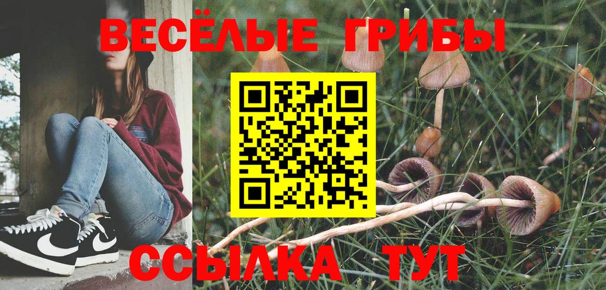 Полысаево  Псилоцибиновые грибы мицелий  где купить   Вход с VPN 